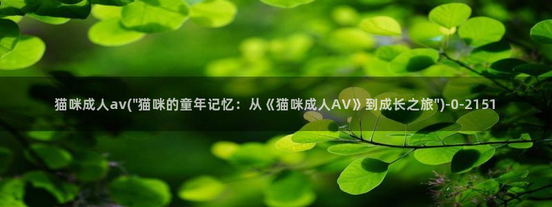 影视先锋av资源站男人