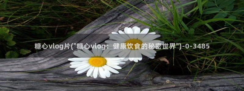 糖心网站vlog