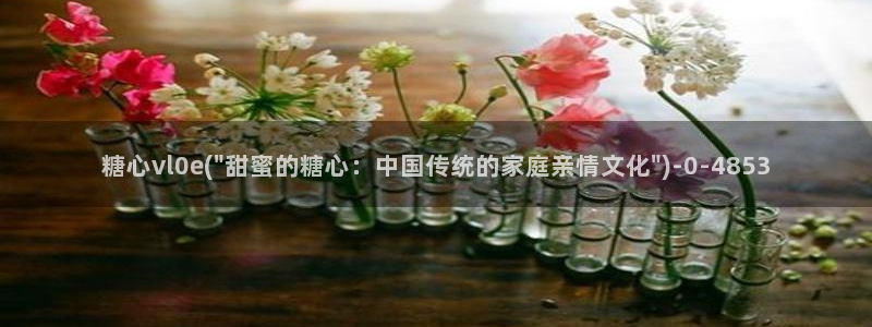 糖心vlog下载破解版：糖心vl0e(\