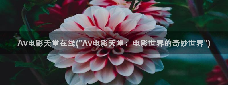 日本av种子下载