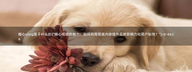 深夜释放自己vlog糖心德力西