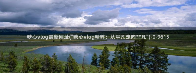 糖心vlog国产入口