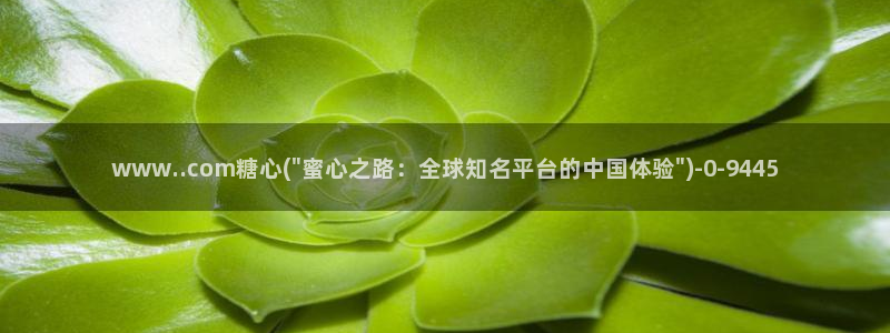 心糖vlog入口