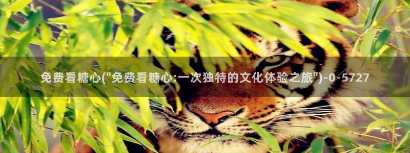 唐糖心vlog