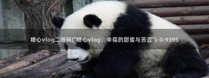 糖心vlog网址进入