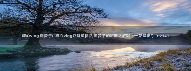糖心vlog破解版(无付费)